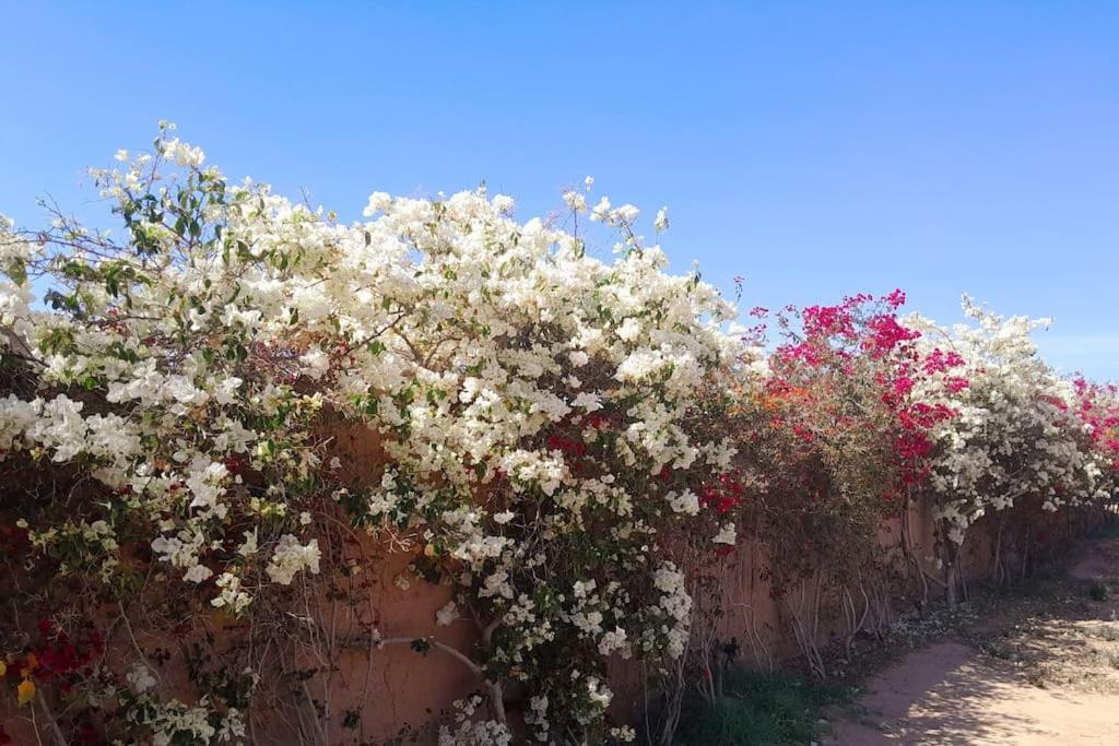 Villa Agora, Villa A La Campagne Proche Marrakech Sidi Abdallah Ghiat ภายนอก รูปภาพ